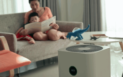 Say Namaste to The Wellness Home